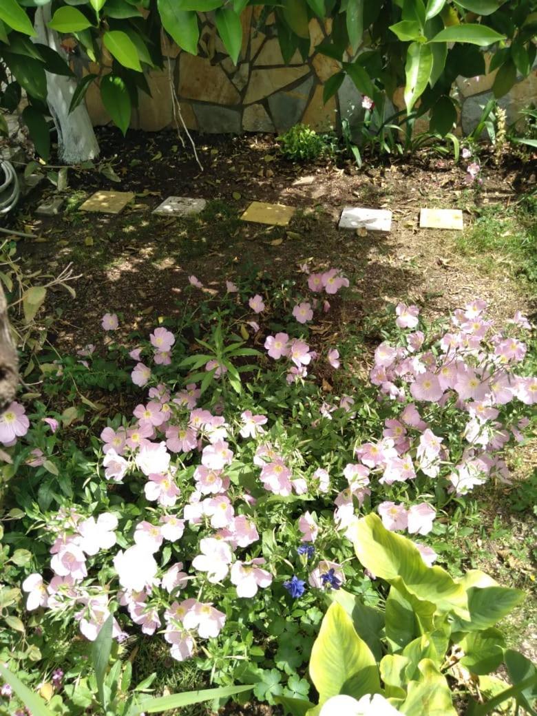 Sara Guesthouse Berat Luaran gambar